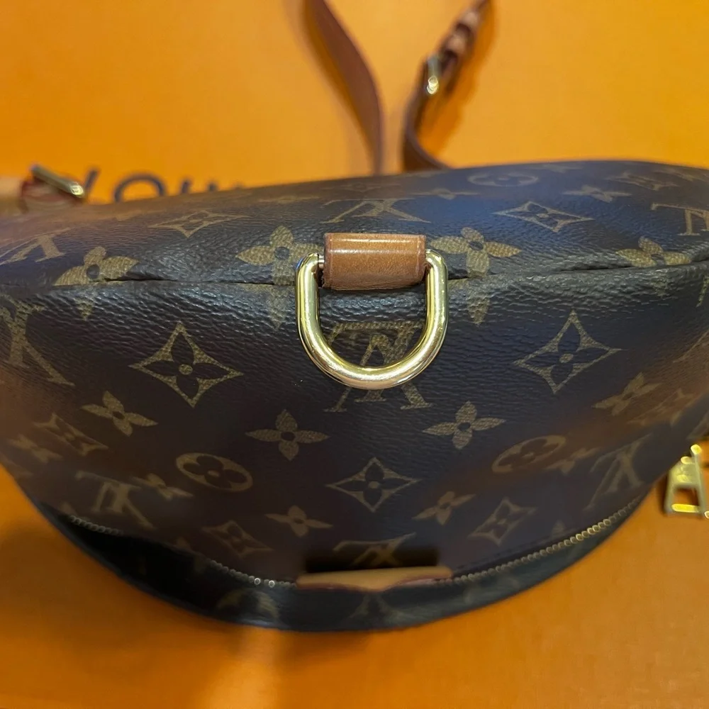 Louis Vuitton Bumbag - Picture 6 of 7